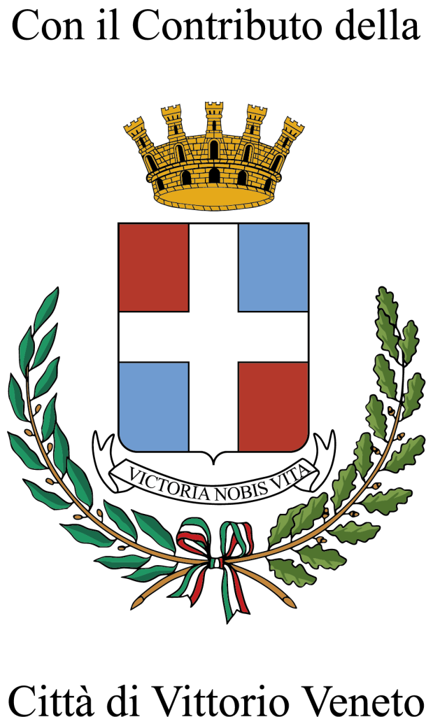 logo comune vv rgb contributo